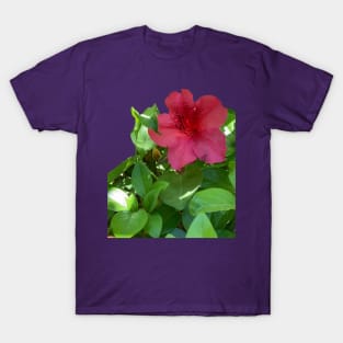 Tropical Azalea T-Shirt